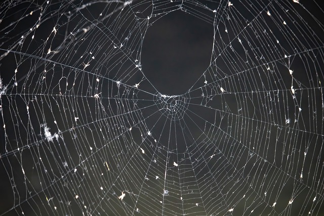 web